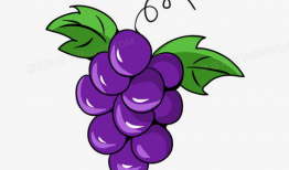 葡萄漫画图,趣味横生的果实故事